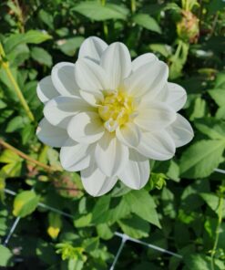 Alternative view of Siberia